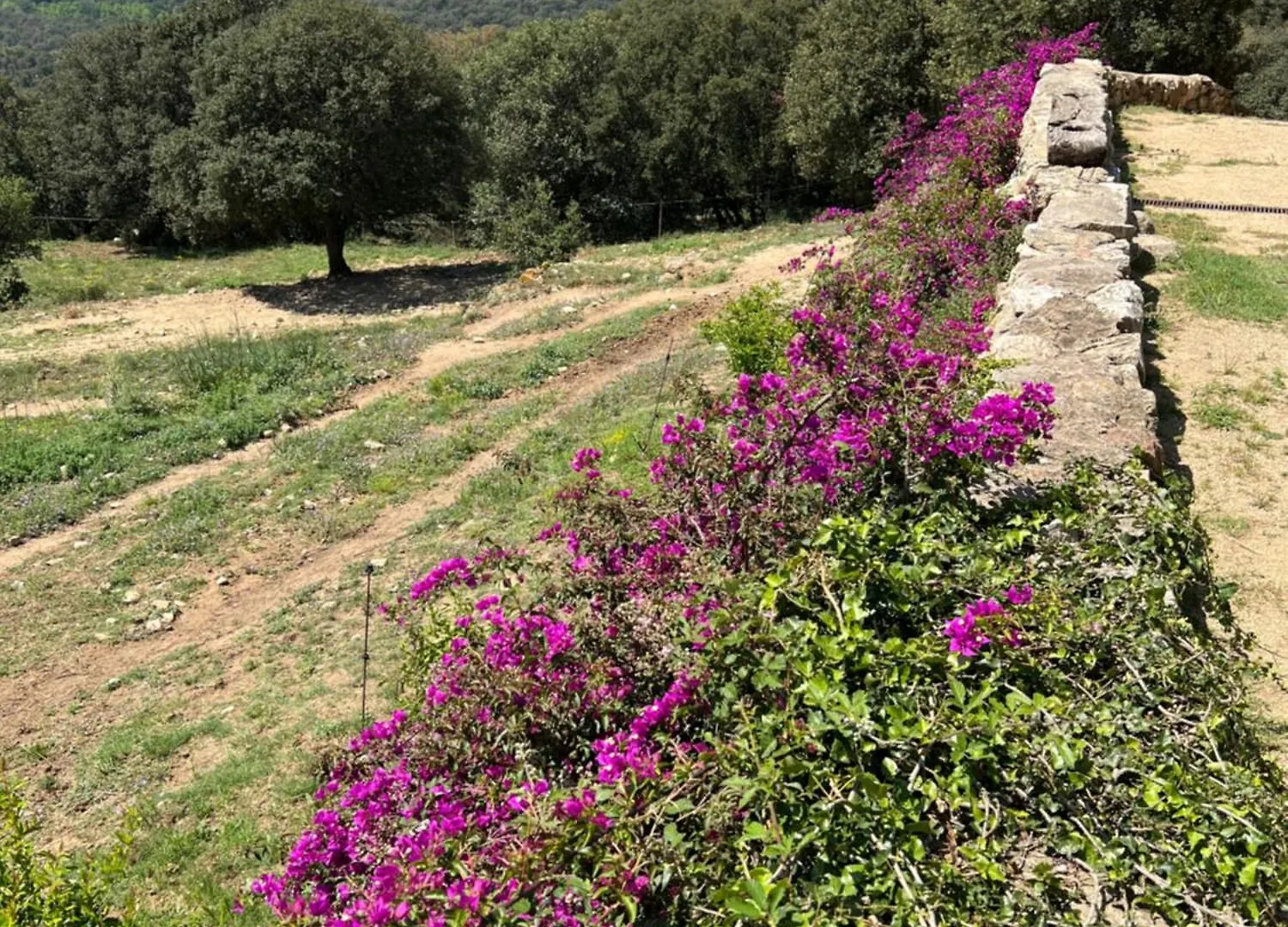 Bed & Breakfast Bed and Breakfast Mas Ambras Agullana